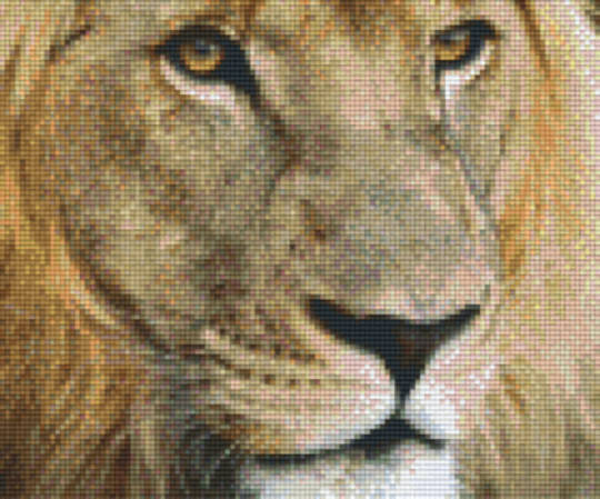 Lion Six [6] Baseplate PixleHobby Mini-mosaic Art Kits